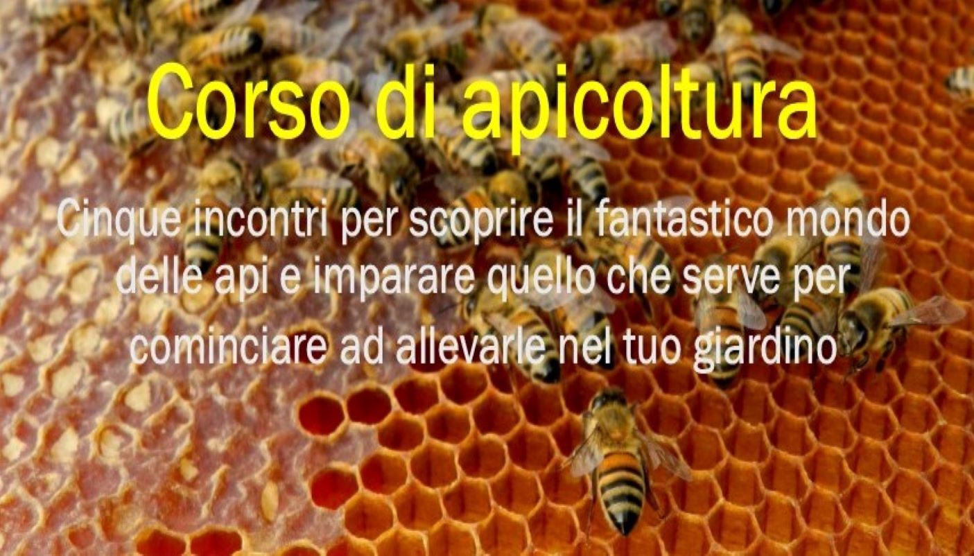 Corso di apicoltura 